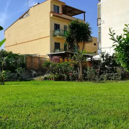 B&B Tifeo-2